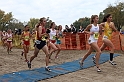 2010CIF XC GD3-0480